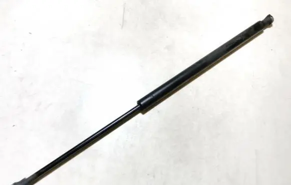 Tailgate/trunk strut/damper