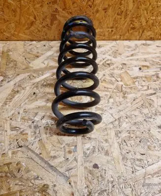 Rear coil spring