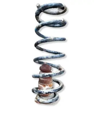 Citroen Berlingo Rear coil spring 
