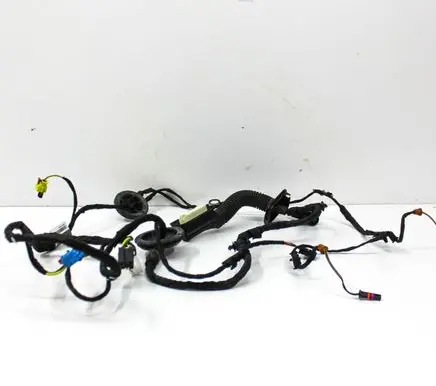 Audi A4 S4 B9 8W Front door wiring loom 8W0971029AN