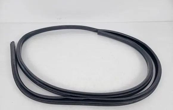 BMW X1 E84 Front door rubber seal 4850861