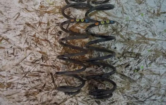 Rear coil spring