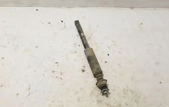 Dacia Spring Rear shock absorber/damper 562100090R