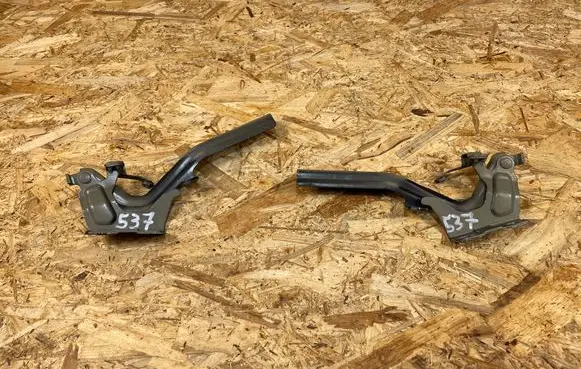 Nissan Juke I F15 Engine bonnet/hood hinges 