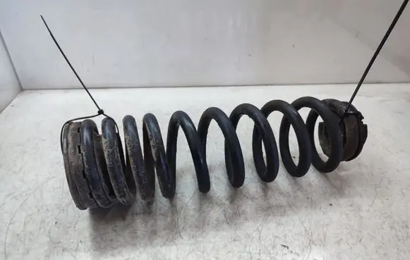 Rear coil spring