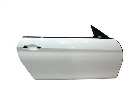 Door (2 Door Coupe)