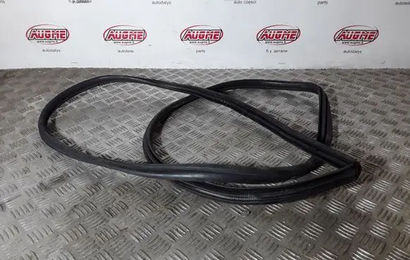 Toyota Auris E180 Rubber seal front door (on door) 