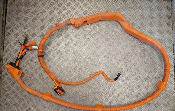 Hyundai Ioniq Other wiring loom 91875G2021