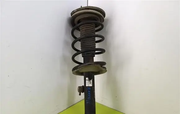 Peugeot 206 Front shock absorber with coil spring
