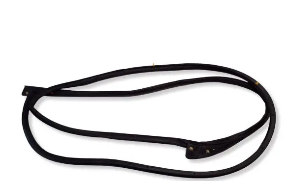 Hyundai Kona II Rubber seal front door (on door) 