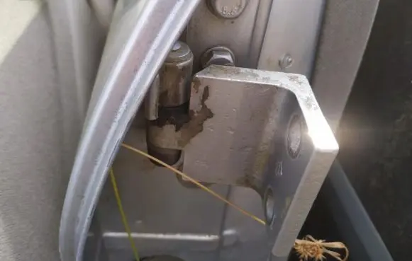 Peugeot 406 Rear door lower hinge