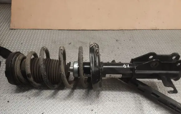 Opel Insignia A Front shock absorber with coil spring 315437