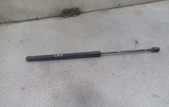Tailgate strut