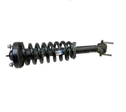 Ford F150 Front shock absorber with coil spring GL3418045