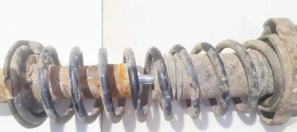 Volvo S40, V40 Rear coil spring