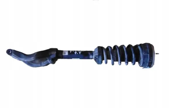 Jaguar F-Pace Front shock absorber with coil spring HK8318B037TE