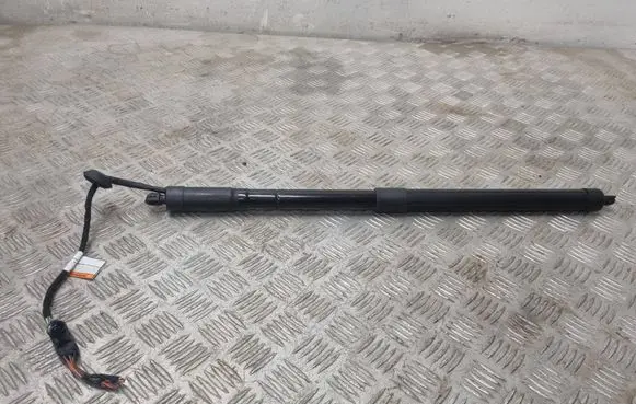 Tailgate/trunk strut/damper