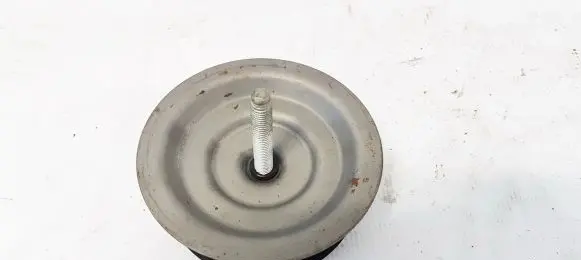 Opel Antara Spare wheel bolt 