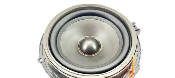 Land Rover Range Rover Sport L320 Rear door speaker BJ3218808CC