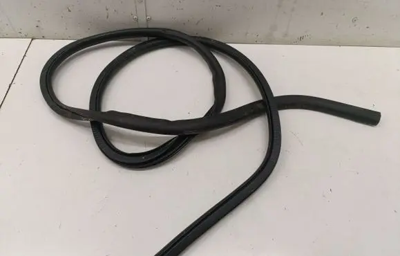 Ford Mustang Mach-E Front door rubber seal 