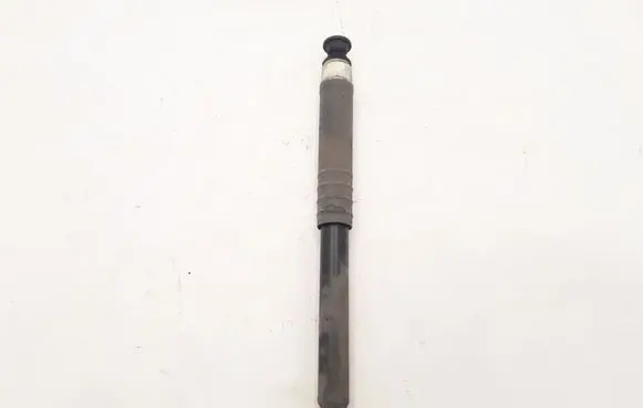 Renault Zoe Rear shock absorber/damper 562108289R