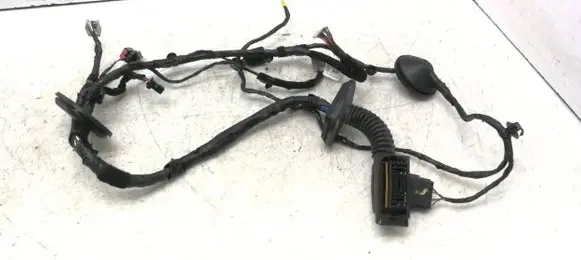 Front door wiring loom