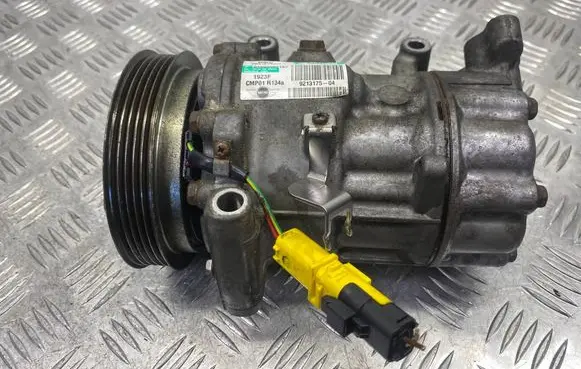 Mini Cooper Countryman R60 Air conditioning (A/C) compressor (pump) 9213175 03895502162 1923F