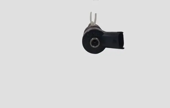 Peugeot 307 Fuel injector 0445110076
