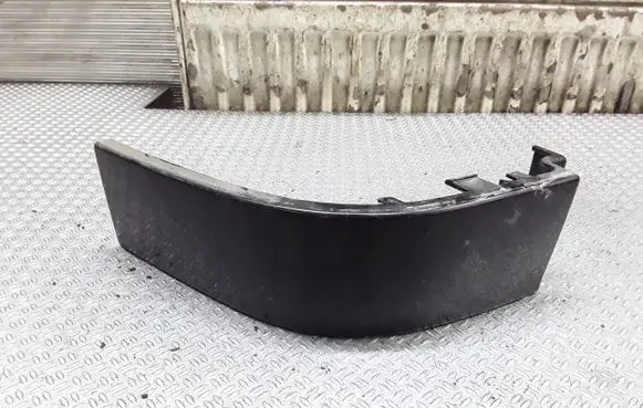 Rear/tail light trim molding
