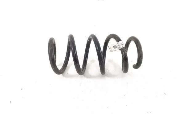 Rear coil spring