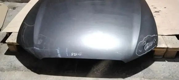 Engine bonnet/hood