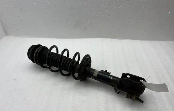 Suzuki Vitara (LY) Front shock absorber with coil spring 4160254PA0