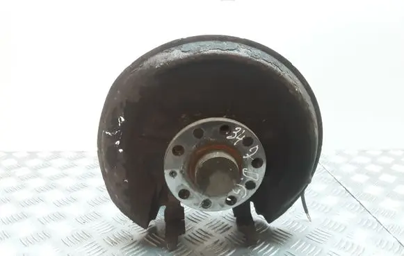 Skoda Octavia Mk2 (1Z) Rear wheel hub