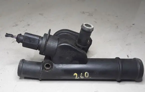 Thermostat/thermostat housing