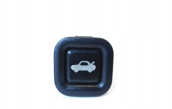 Chrysler Voyager Tailgate opening switch 4688387