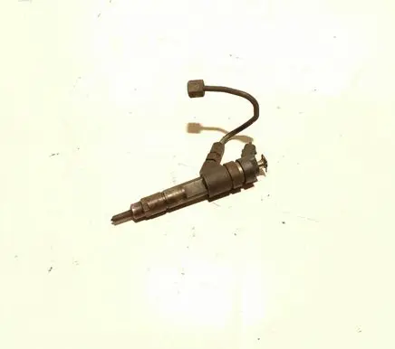 Fiat Ducato Fuel injector 0445120002