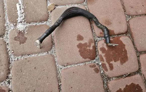 Opel Adam Negative earth cable (battery) 41TYS