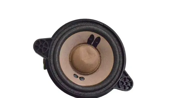 Panel speaker