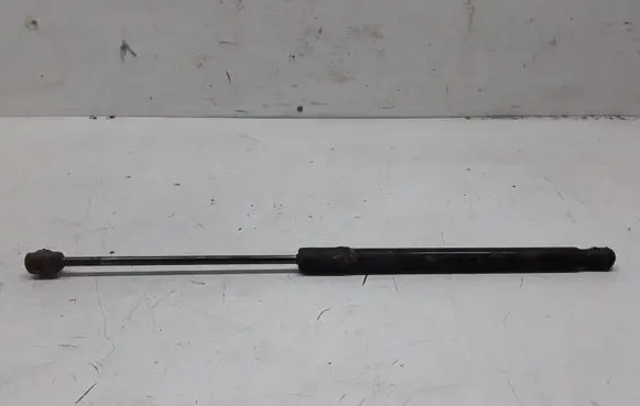 Renault Megane III Tailgate strut 844300009R