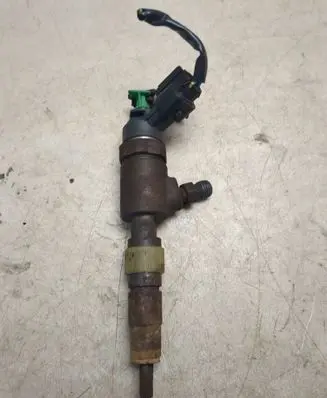 Citroen C4 II Picasso Fuel injector 0445110339