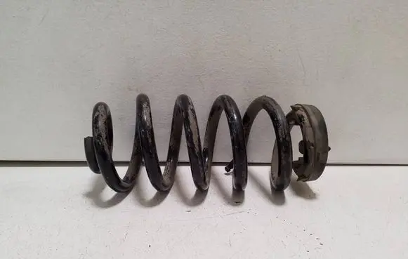 Cupra Born Rear coil spring