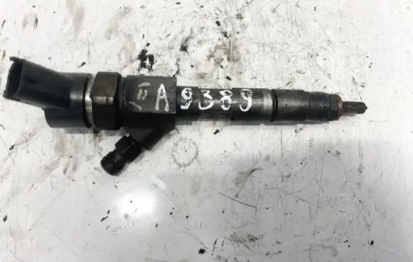 Renault Espace - Grand espace IV Fuel injector 8200100272