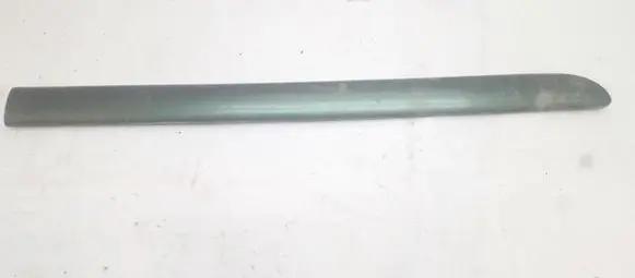 Rear door trim (molding)