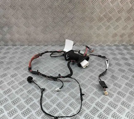Dodge Charger Front door wiring loom 05059012AG