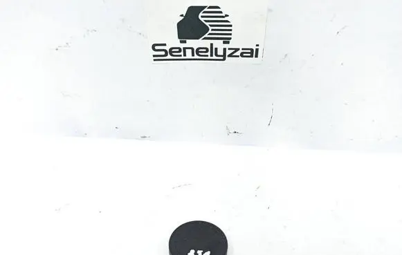 Mercedes-Benz R W251 Crankshaft pulley A0009976320