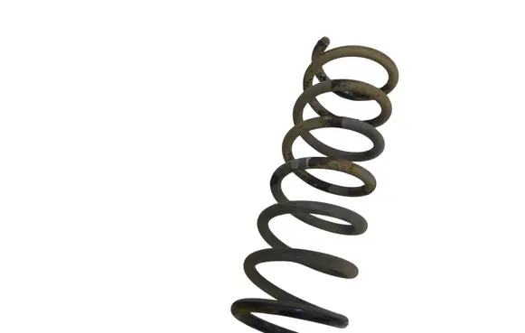 Rear coil spring