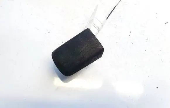 Nissan Qashqai+2 Loading door cover/cap zp51169