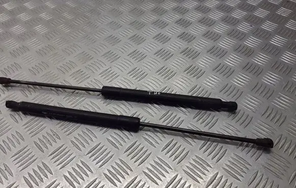 Citroen C3 Tailgate hydraulic set 9683733980