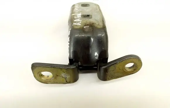 Rear door lower hinge