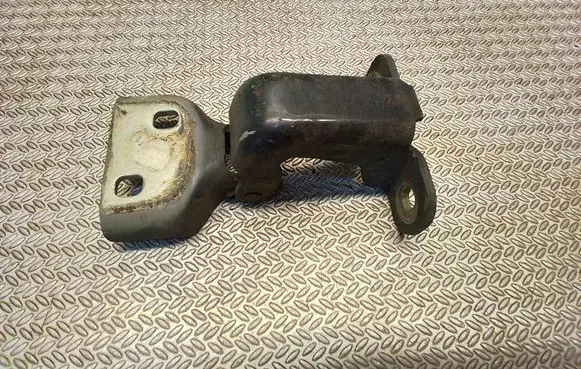 Citroen Berlingo Front door lower hinge 31177211